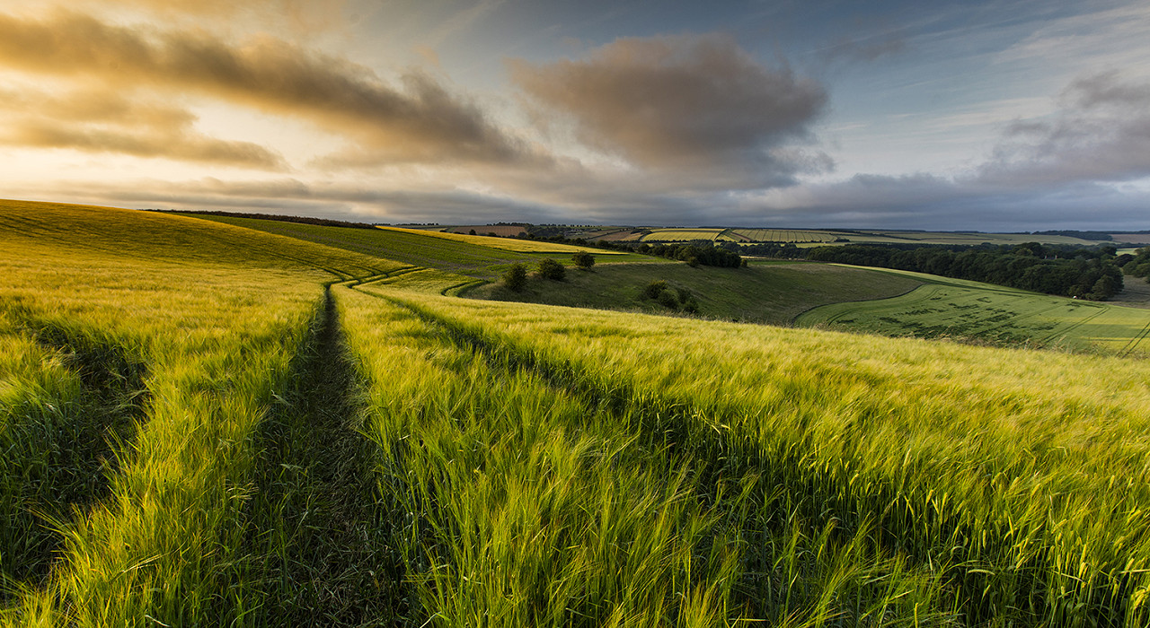 Exploring The Wolds: My Top Choices by Jim De’Ath (Valley & Peak)