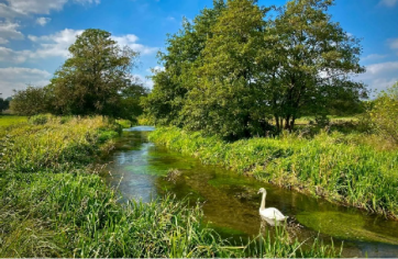 Chalk stream river